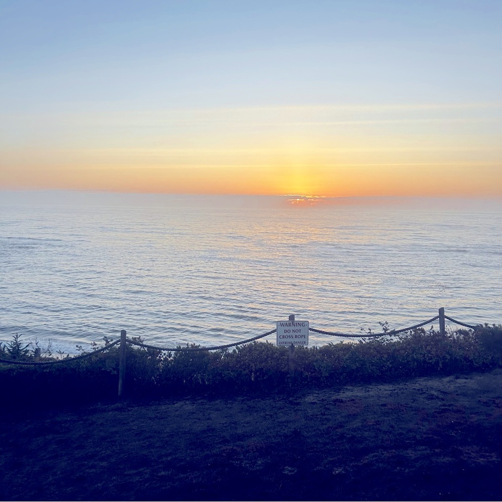 Meet your Posher, Jenny